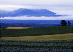 雲がたなびく大雪山連峰
