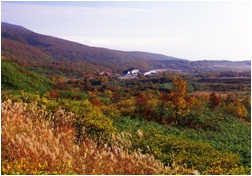 八幡沼をバックに燃えるような紅葉が広がる