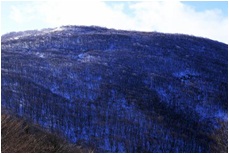 戊辰戦争の際は峠を挟んで激戦地となった