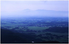 郡山の水田風景（７月撮影）