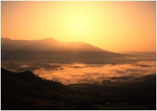 太陽が昇ると霧の表情が一気に変わる