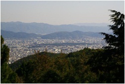 木々の間から京の街が見える