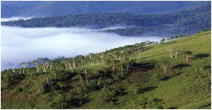 早朝は屈斜路湖を濃霧が覆っていた