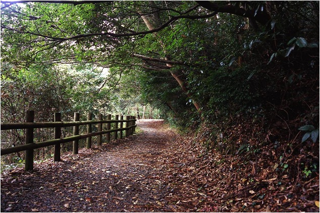  坂堂峠（山口県）