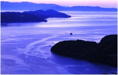 夜通し漁をした船が急いで帰って来た