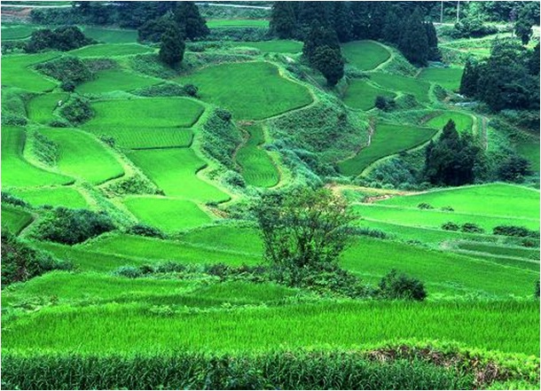 星峠（新潟県）