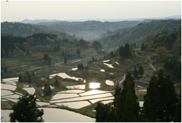 星峠から広がる棚田の風景